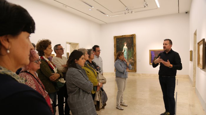 Visitas a la colección