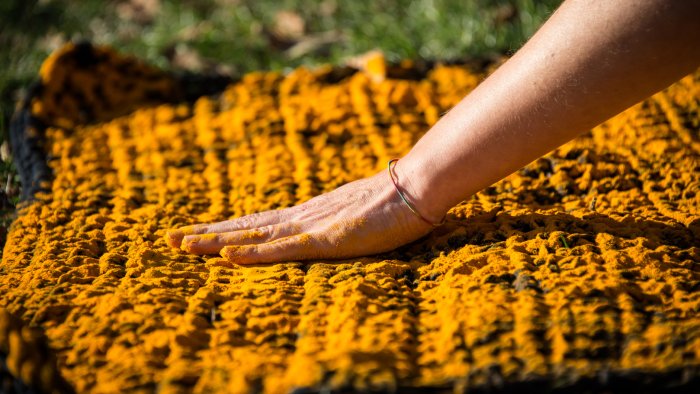 María Vallina. Silencio roto para un encuentro en los límites habitables