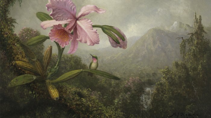 Otro Thyssen: Diálogos con Latinoamérica