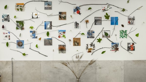 LED 2025: Memorias de un bosque interior