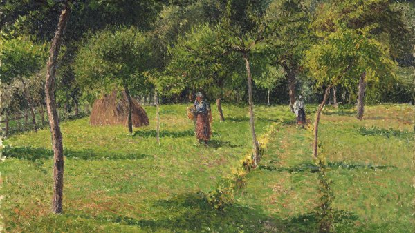 Un espacio para hablar: ¡Nos vamos al huerto!