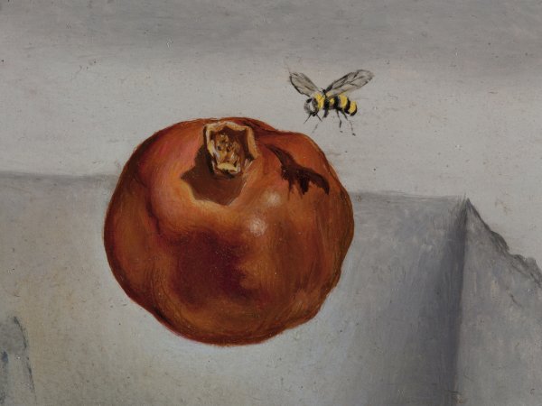 Salvador Dalí